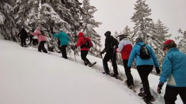 Snowshoeing Group